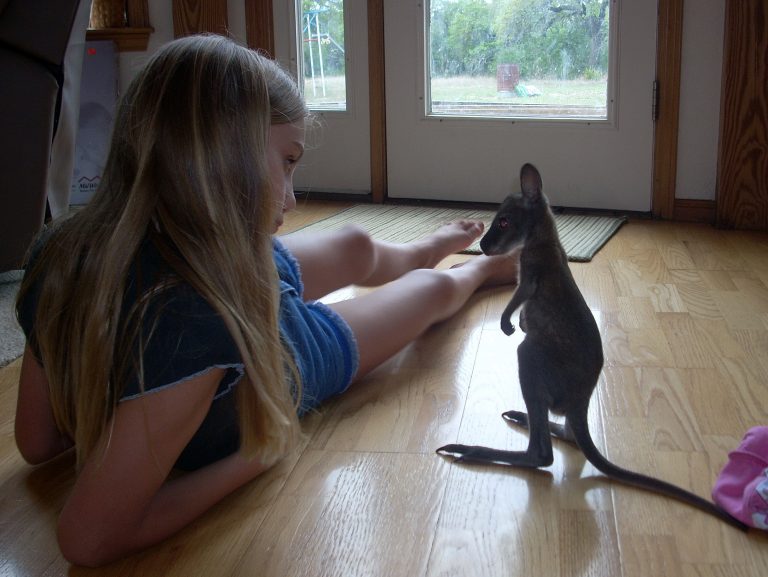 Traveling Petting Zoo Exotic Animals & Reptiles in San Antonio TX